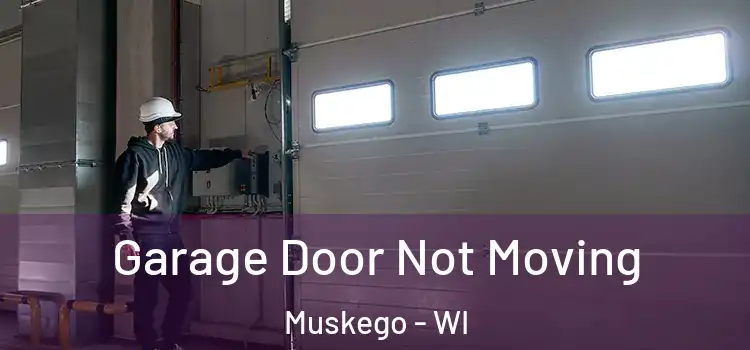  Garage Door Not Moving Muskego - WI
