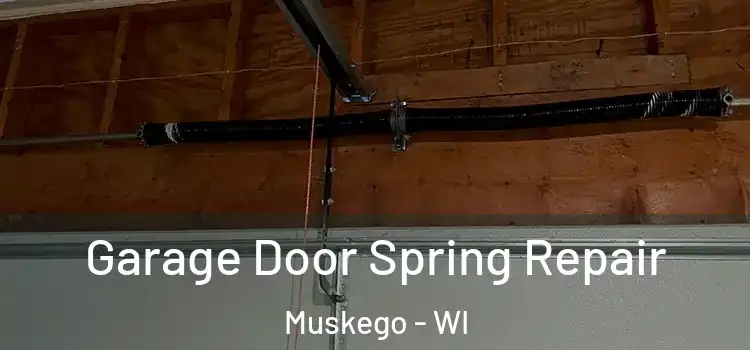  Garage Door Spring Repair Muskego - WI