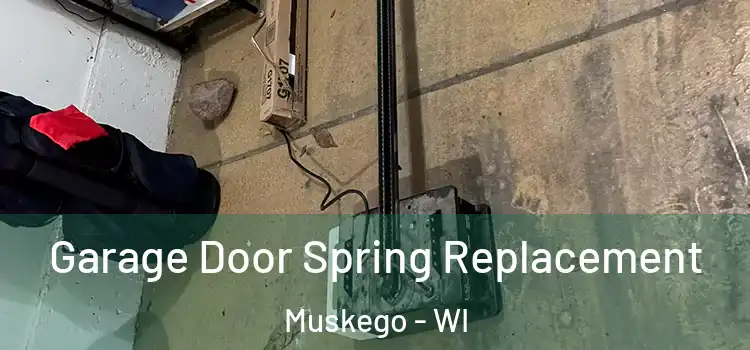  Garage Door Spring Replacement Muskego - WI