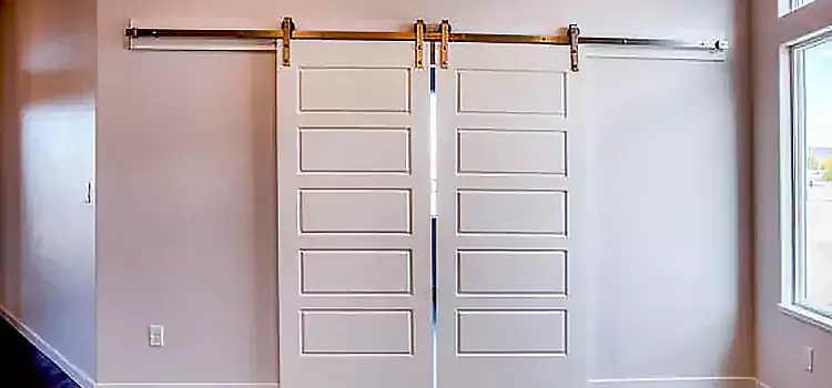 Glass Barn Door with Installation Hardware Kit Muskego