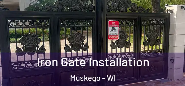 Iron Gate Installation Muskego - WI