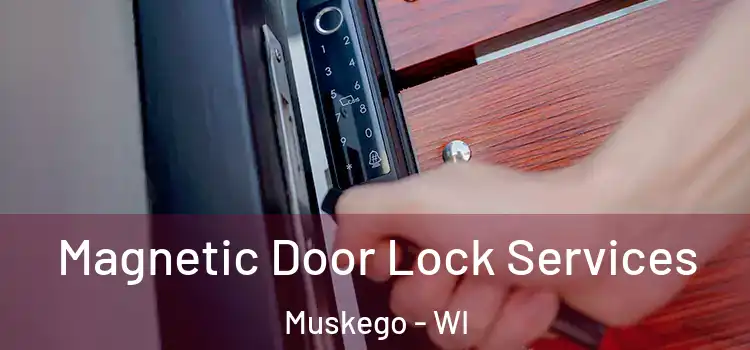  Magnetic Door Lock Services Muskego - WI